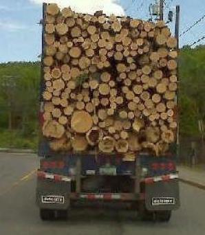 Pulpwood Truck, Maine ~  No description included. 