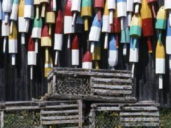 Lobster Pots and Buoys ~  No description included. 