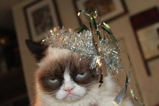 Grumpy Cat with Crown ~  No description included. 