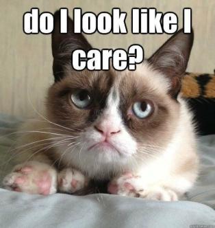 Grumpy Cat - Do I Look Like I Care ~  No description included. 