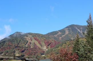 Ski Runs At Whiteface Mountain ~ The ski runs at Whiteface Mountain.  They were an integral part of the 1980 Olympics held at nearby Lake Placid.