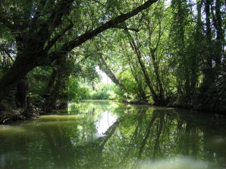 River Passea ~ The river that leads to an entrance to Vala.